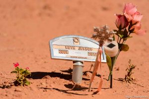 Trent Nelson  |  The Salt Lake Tribune grave markers for jessop family victims of 2015 flash flood, isaac carling cemetery, Wednesday September 14, 2016. ruth jessop