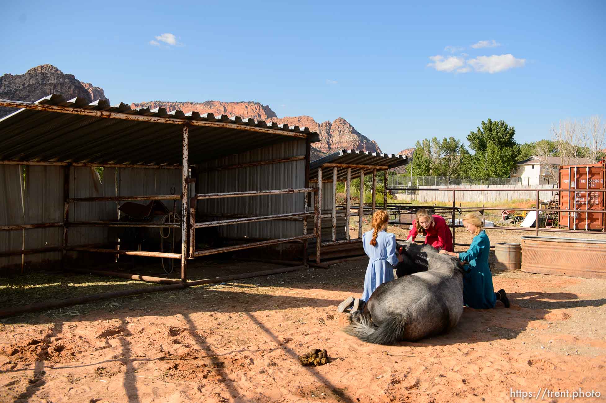 Polygamy in the American West