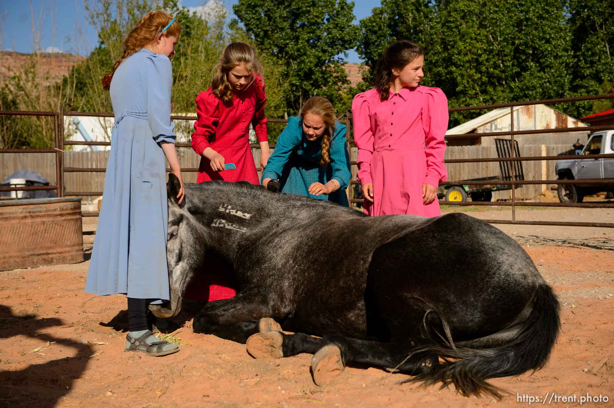 Polygamy in the American West