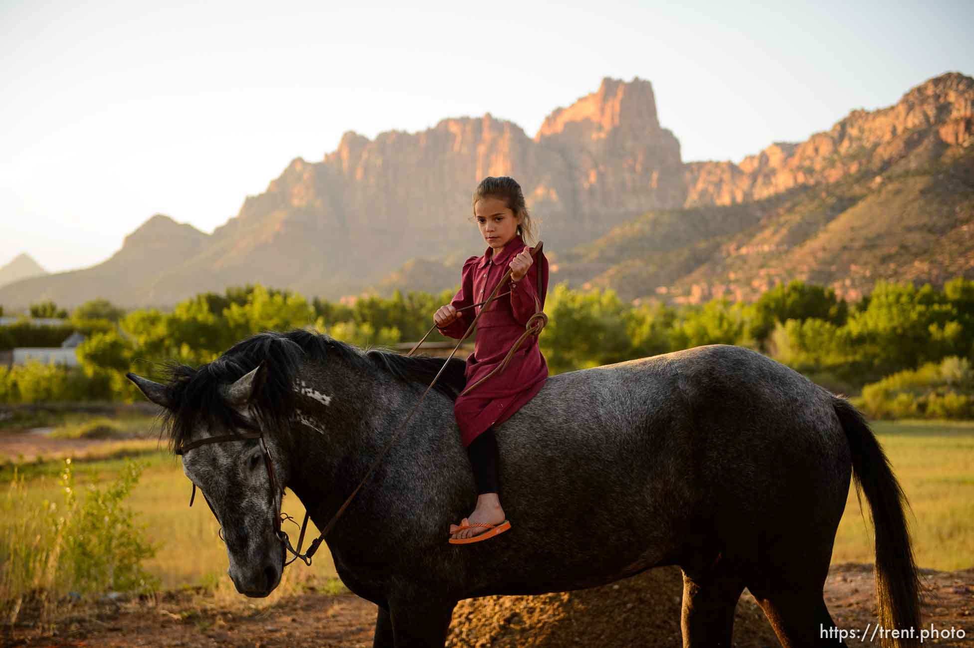 Polygamy in the American West