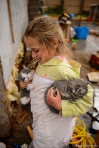 Trent Nelson  |  The Salt Lake Tribune flds girl with with kittens, Tuesday May 9, 2017. cat
