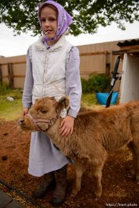 Trent Nelson  |  The Salt Lake Tribune flds girl with with calf, Tuesday May 9, 2017.