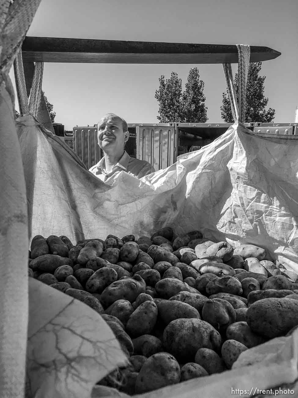 Polygamy in the American West