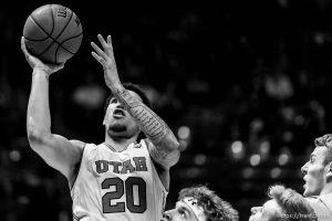 (Trent Nelson | The Salt Lake Tribune)   Utah Utes forward Timmy Allen (20) shoots as Utah hosts Oregon State, NCAA basketball in Salt Lake City on Saturday Feb. 2, 2019.