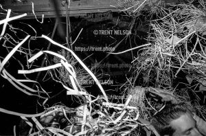 Isocracy at Gilman Street.