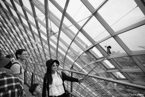 Cloud Forest, Singapore, July 21, 2019