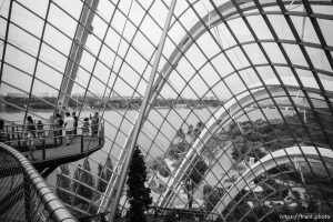 Cloud Forest, Singapore, July 21, 2019