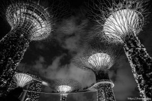 Gardens at the Bay light show, Singapore, July 26, 2019