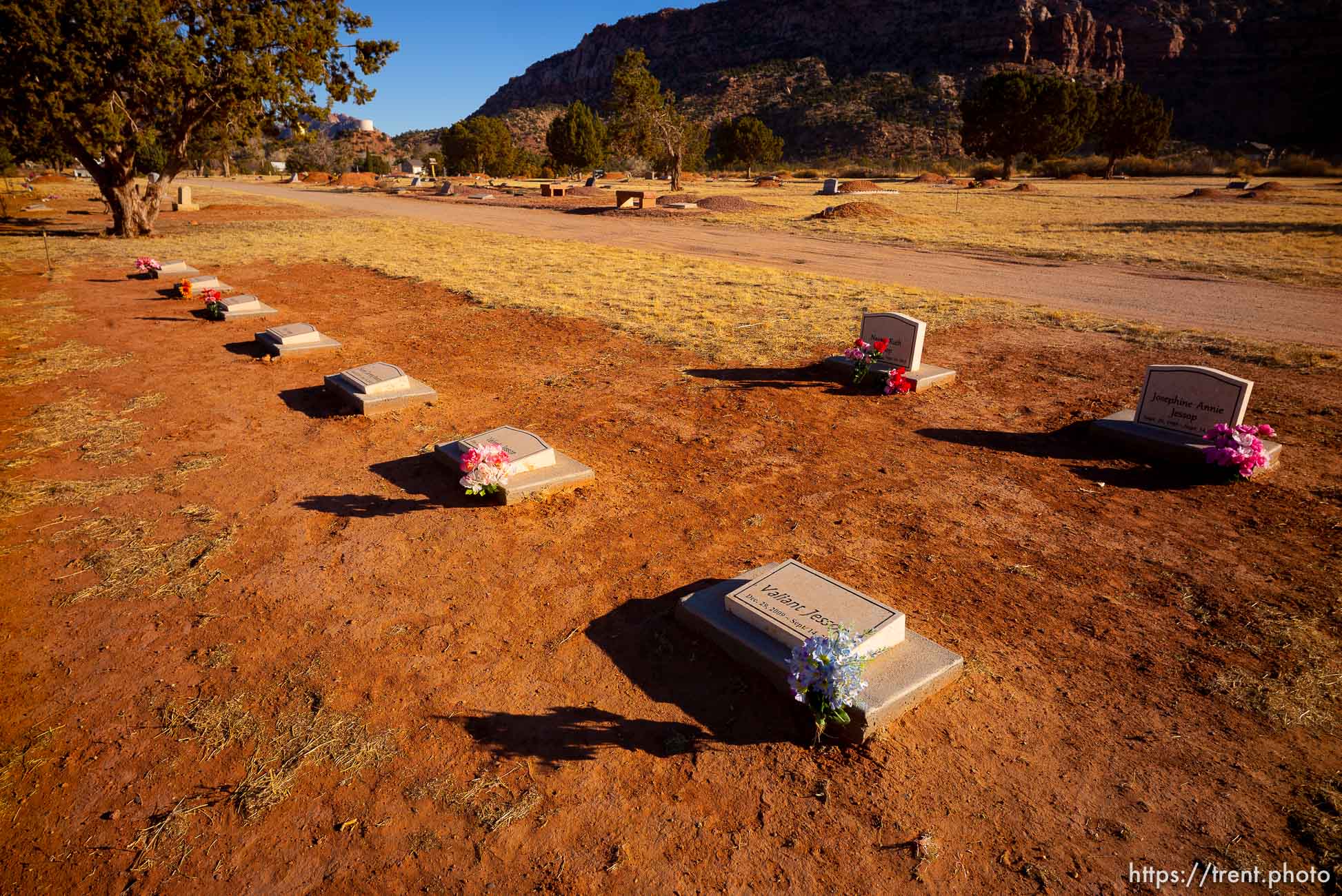 Polygamy in the American West