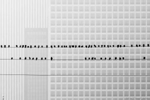 state street,  on Friday, Jan. 24, 2020.