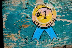 (Trent Nelson  |  The Salt Lake Tribune) #1 best mulch. City officials are threatening to shut down Kuwahara Wholesale, a family-run plant nursery that has been operating in the community for years, saying it is violation of ordinances requiring a business license.  on Friday, Feb. 21, 2020.