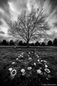 (Trent Nelson  |  The Salt Lake Tribune) Elysian Burial Gardens in Salt Lake City on Thursday, March 19, 2020.