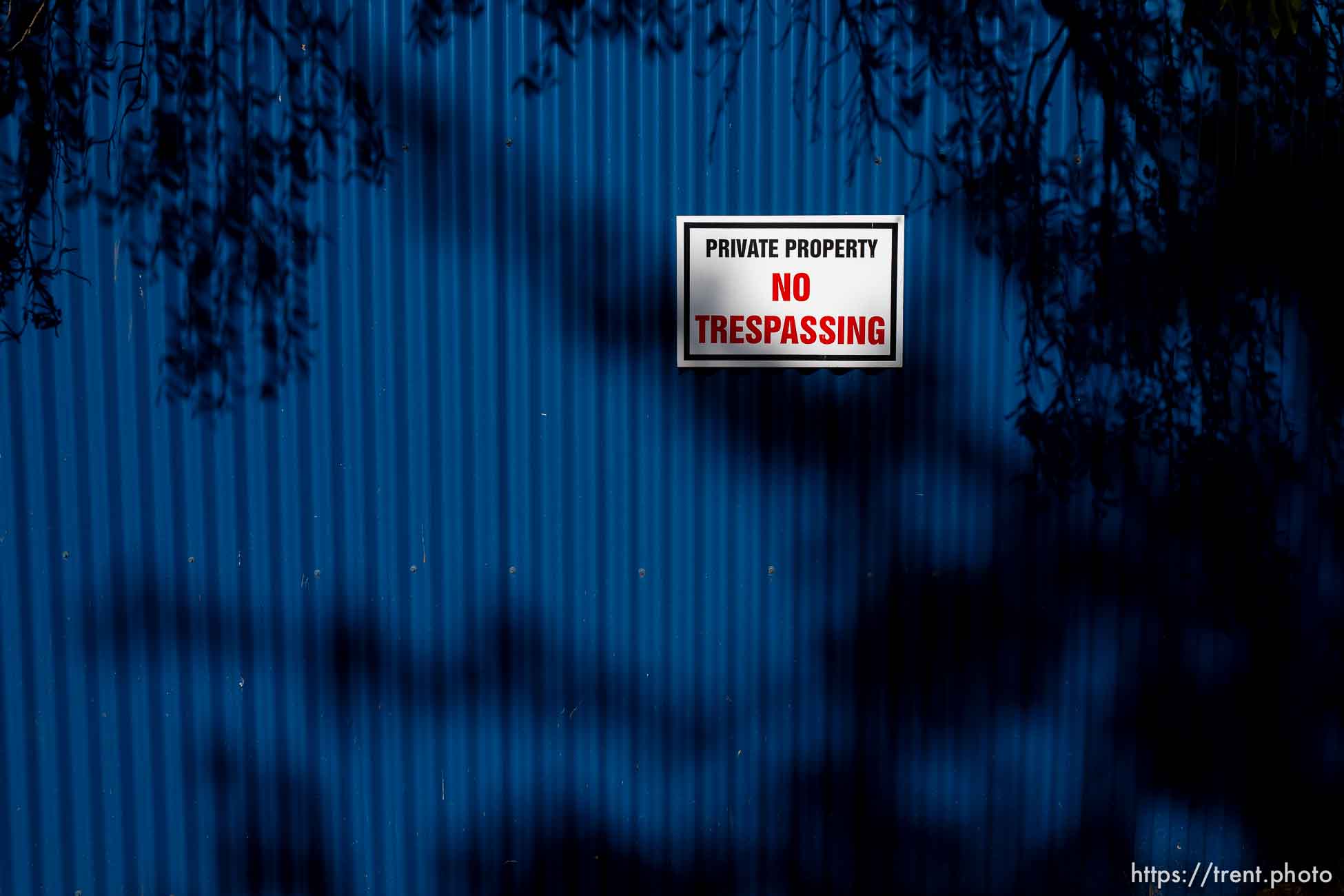 Polygamy in the American West