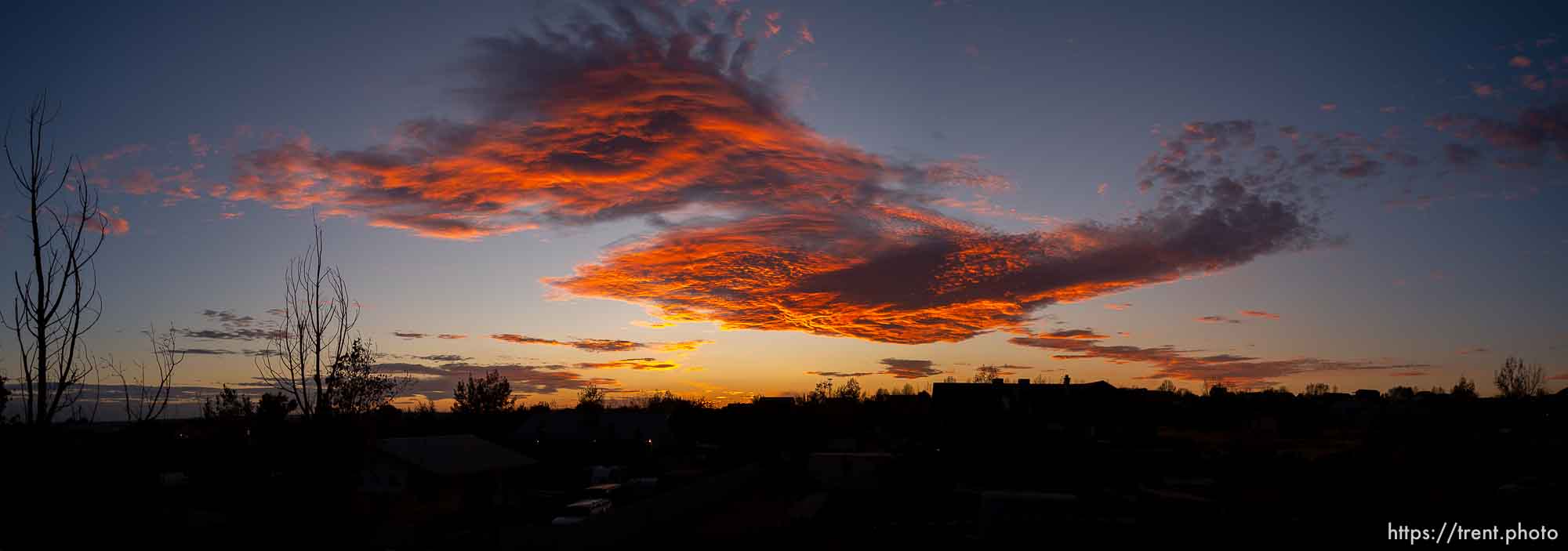 Polygamy in the American West