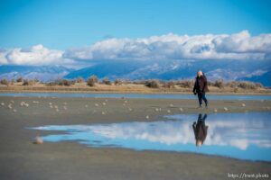 (Trent Nelson  |  The Salt Lake Tribune) Audubon’s Gillmor Sanctuary on the Great Salt Lake's South Shore on Wednesday, Dec. 23, 2020.