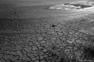 (Trent Nelson  |  The Salt Lake Tribune) Audubon’s Gillmor Sanctuary on the Great Salt Lake's South Shore on Wednesday, Dec. 23, 2020.