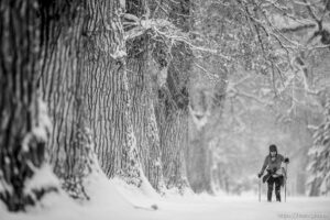 (Trent Nelson  |  The Salt Lake Tribune) Melinda Tomeo skies through Liberty Park as a winter storm continues to drop snow in Salt Lake City on Wednesday, Feb. 17, 2021.