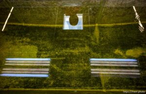 (Trent Nelson  |  The Salt Lake Tribune) Christian Weinrich, biologist, at the Salt Lake City Mosquito Abatement District's facility on Thursday, Feb. 25, 2021.