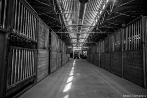 (Trent Nelson  |  The Salt Lake Tribune)  Utah National Guard COVID testing at the Utah State Fairpark in Salt Lake City on Thursday, Feb. 25, 2021.