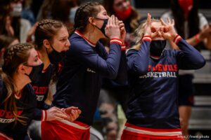 (Trent Nelson  |  The Salt Lake Tribune) Lehi vs Sproingville, high school basketball semifinals, in Taylorsville on Friday, March 5, 2021.