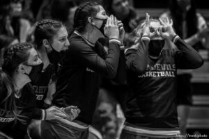 (Trent Nelson  |  The Salt Lake Tribune) Lehi vs Sproingville, high school basketball semifinals, in Taylorsville on Friday, March 5, 2021.