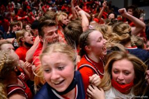 (Trent Nelson  |  The Salt Lake Tribune) Springville players and fans celebrate their win over Farmington High School in the 5A girls basketball state championship game, in Taylorsville on Saturday, March 6, 2021.