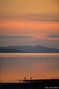 (Trent Nelson  |  The Salt Lake Tribune) 
at Antelope Island State Park on Friday, April 23, 2021.