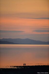 (Trent Nelson  |  The Salt Lake Tribune) 
at Antelope Island State Park on Friday, April 23, 2021.
