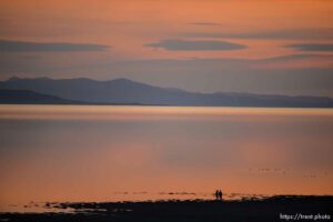 (Trent Nelson  |  The Salt Lake Tribune)  at Antelope Island State Park on Friday, April 23, 2021.