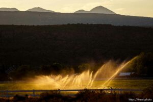 (Trent Nelson  |  The Salt Lake Tribune) Irrigation in Moab on Thursday, July 15, 2021.