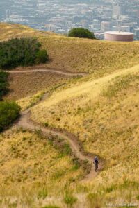 (Trent Nelson  |  The Salt Lake Tribune) The Bonneville Shoreline Trail, Valley View, in the Foothills Natural Area on Tuesday, Aug. 10, 2021.