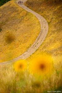 (Trent Nelson  |  The Salt Lake Tribune) Eric Edelman gives an overview to Salt Lake City Council member Amy Fowler of new trails in the Foothills Natural Area on Tuesday, Aug. 10, 2021.