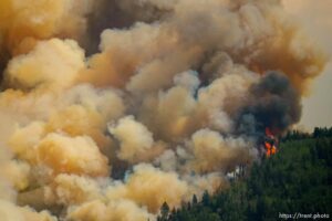 (Trent Nelson  |  The Salt Lake Tribune) The Parleys Canyon Fire burns on Saturday, Aug. 14, 2021.