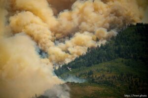 (Trent Nelson  |  The Salt Lake Tribune) The Parleys Canyon Fire burns on Saturday, Aug. 14, 2021.
