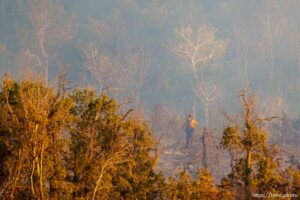 (Trent Nelson  |  The Salt Lake Tribune) Crews fight the Parleys Canyon Fire burns on Saturday, Aug. 14, 2021.