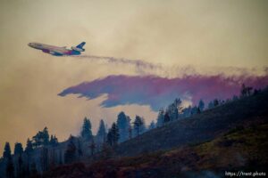 (Trent Nelson  |  The Salt Lake Tribune) Crews fight the Parleys Canyon Fire burns on Saturday, Aug. 14, 2021.