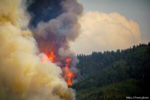 (Trent Nelson  |  The Salt Lake Tribune)  fire on Saturday, Aug. 14, 2021.