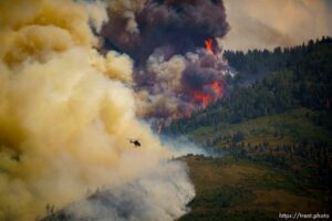 (Trent Nelson  |  The Salt Lake Tribune)  fire on Saturday, Aug. 14, 2021.