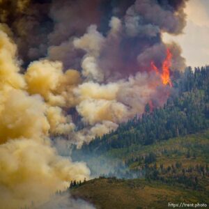 (Trent Nelson  |  The Salt Lake Tribune)  fire on Saturday, Aug. 14, 2021.