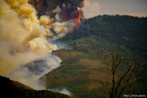 (Trent Nelson  |  The Salt Lake Tribune)  fire on Saturday, Aug. 14, 2021.