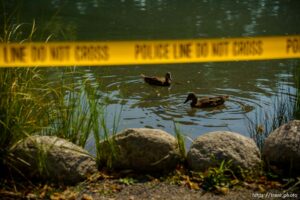 (Trent Nelson  |  The Salt Lake Tribune) Yellow tape surrounds the Fairmont Park Pond in Salt Lake City on Thursday, Sept. 9, 2021. Testing has revealed the potential presence of mercury.