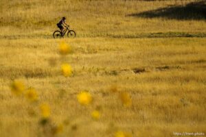 (Trent Nelson  |  The Salt Lake Tribune) A mountain biker rides the Meadow trail in the Salt Lake City foothills on Friday, Sept. 17, 2021.