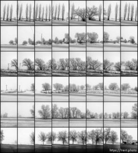 roads. Driving from Roosevelt to Helper through Ashley National Forest, Wednesday January 20, 2016.