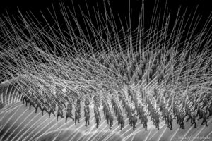 (Trent Nelson  |  The Salt Lake Tribune) 
during the opening ceremony of the 2022 Winter Olympics at the National Stadium ,the Bird's Nest, in Beijing on Friday, Feb. 4, 2022.
