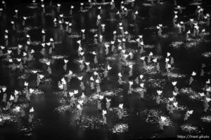 (Trent Nelson  |  The Salt Lake Tribune) during the Opening Ceremony of the 2022 Winter Olympics at the National Stadium ,the Bird's Nest, in Beijing on Friday, Feb. 4, 2022.