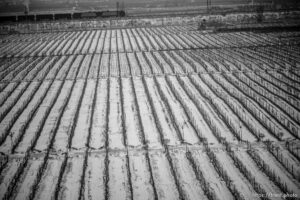 on Sunday, Feb. 13, 2022.