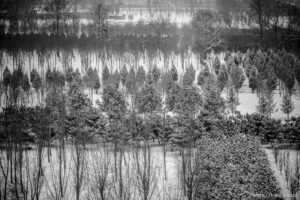 on Sunday, Feb. 13, 2022.