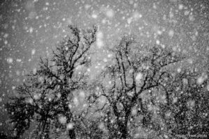 on Saturday, March 5, 2022.