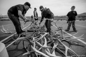 (Trent Nelson  |  The Salt Lake Tribune)  DWR is auctioning off 100s of antlers and furs recovered during poaching investigations over the last six years Lee Kay Public Shooting Range in Salt Lake City on Monday, April 25, 2022.