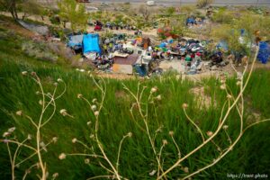 (Trent Nelson  |  The Salt Lake Tribune) The clearing of camps located east of Victory Road in the foothills north of Salt Lake City on Wednesday, April 27, 2022.